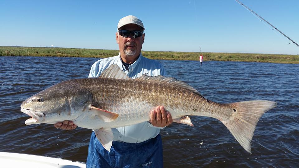 Catching Big Louisiana Redfish