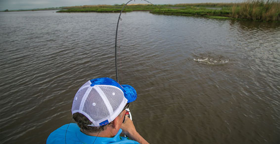 Louisiana Fishing Trip Rates | Charter Pricing