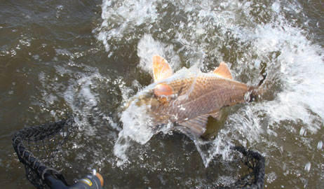 Guided Mississippi River Fishing Trips