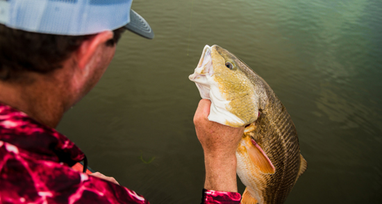New Orleans Redfish Guide