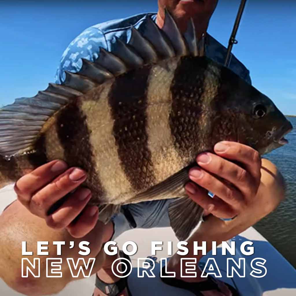 Fish New Orleans Louisiana